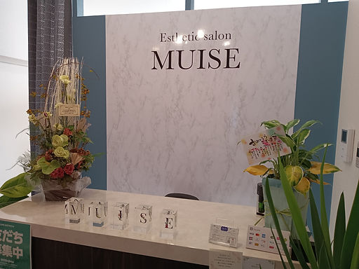 小郡市で40・50代の全身脱毛ならミューズ｜夏までの特別価格の画像