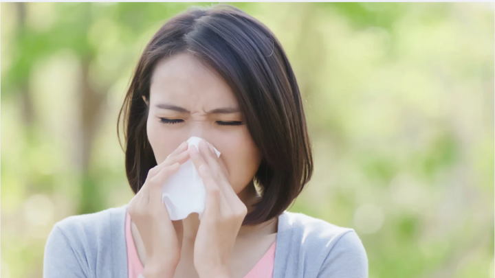 花粉症は腸から整える？免疫バランスと腸内環境の関係の画像